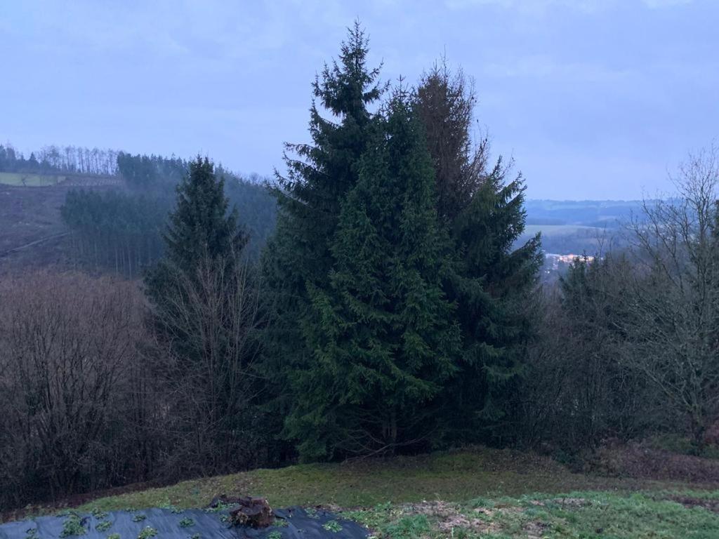 Terrasses De Malmedy Connecto Duplex 435 & 436 En Studio 336 외부 사진